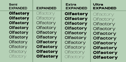 Olfactory Font Poster 6
