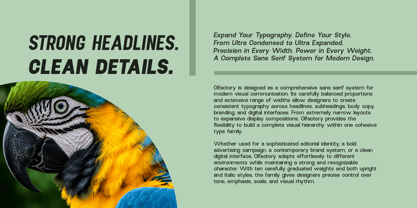 Olfactory Font Poster 2
