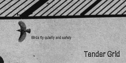 Tender Grid Font Poster 2