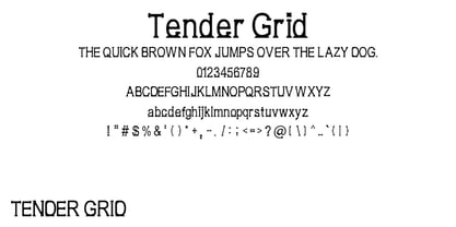 Tender Grid Font Poster 1