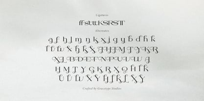 Dyrenko Font Poster 12