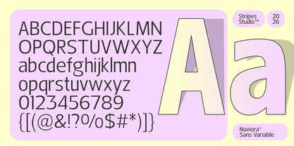 Nuviora Font Poster 14