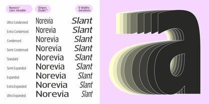 Nuviora Font Poster 12