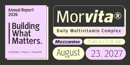 Nuviora Font Poster 9