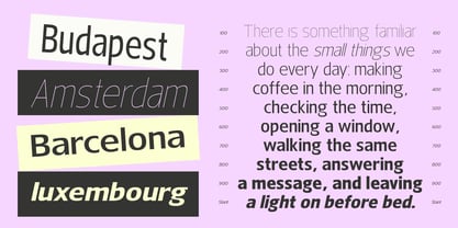 Nuviora Font Poster 3