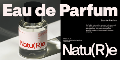 ZT Notanic Font Poster 7