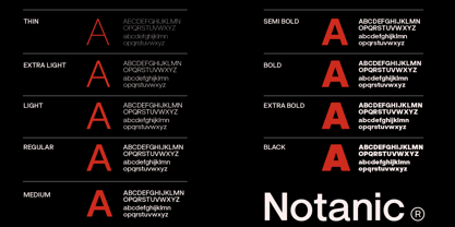 ZT Notanic Font Poster 6