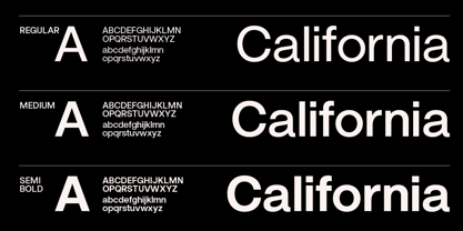 ZT Notanic Font Poster 11