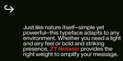 ZT Notanic Font Poster 5
