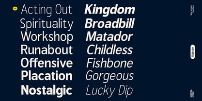 Ralinder Font Poster 2