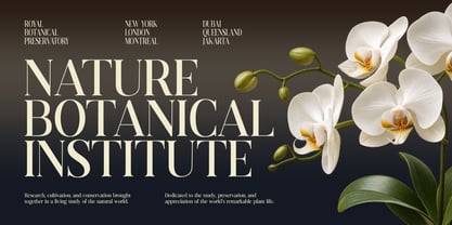 Evarnique Font Poster 8