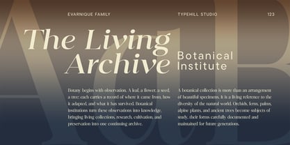 Evarnique Font Poster 9