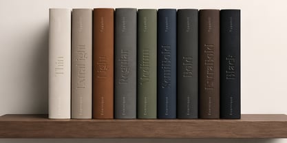 Evarnique Font Poster 2
