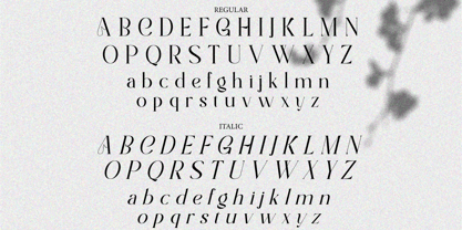 Half Love Font Poster 12
