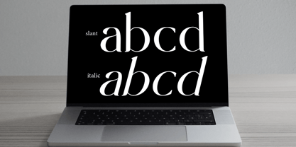 Half Love Font Poster 9