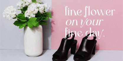 Half Love Font Poster 6