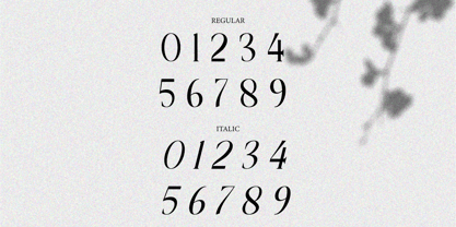 Half Love Font Poster 13