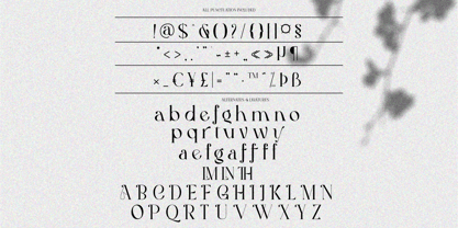 Half Love Font Poster 14