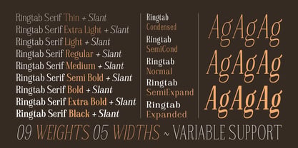 Ringtab Font Poster 9