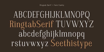 Ringtab Font Poster 11