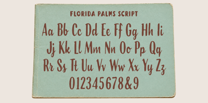 Florida Palms Font Poster 12
