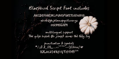 Blackbird Font Poster 2
