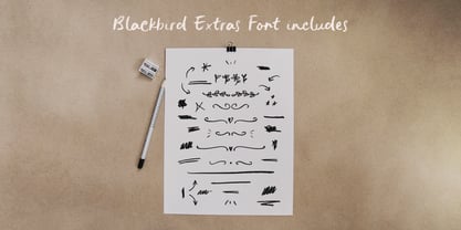 Blackbird Font Poster 9