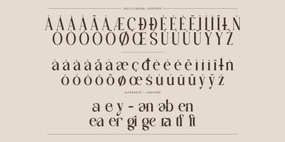 Agifter Font Poster 10