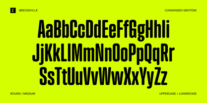 Brecksville Font Poster 14