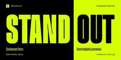 Brecksville Font Poster 15