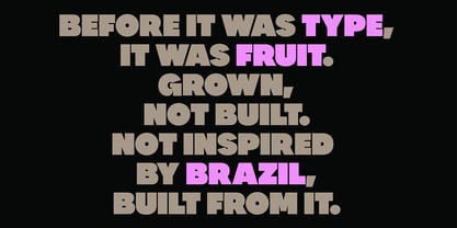 Cajueira Font Poster 4