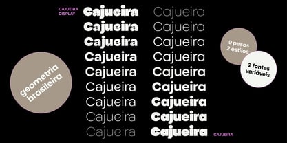 Cajueira Font Poster 13