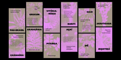 Cajueira Font Poster 2