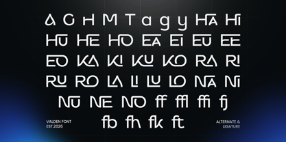 Valden Font Poster 9