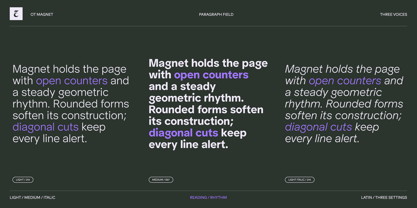 OT Magnet Font Poster 6