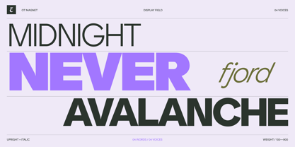 OT Magnet Font Poster 5