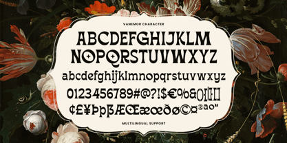 Vanemor Font Poster 12