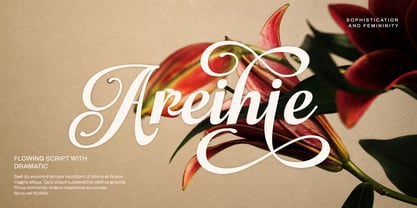 Maybella Font Poster 7
