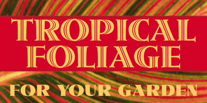 Metropolis CT Font Poster 9
