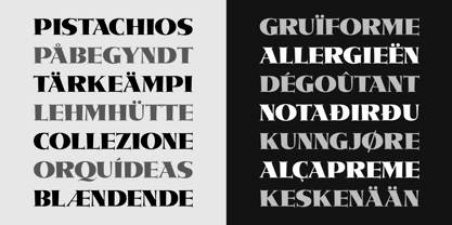 Metropolis CT Font Poster 5