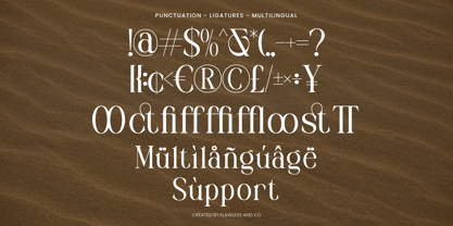 Musty Serif Font Poster 10