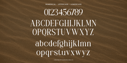 Musty Serif Font Poster 9