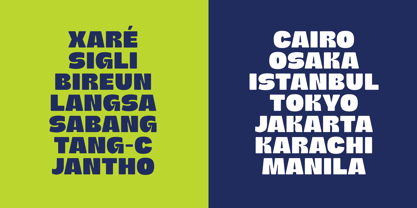 Chaster Font Poster 6
