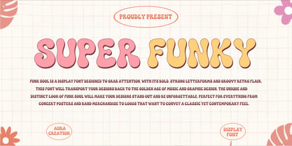 Super Funky Vibes Font Poster 7