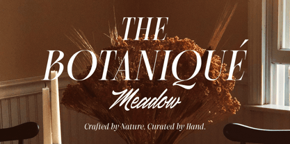 Ranthina Font Poster 12