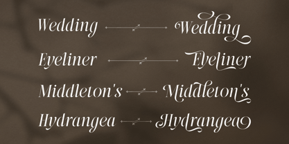 Ranthina Font Poster 6