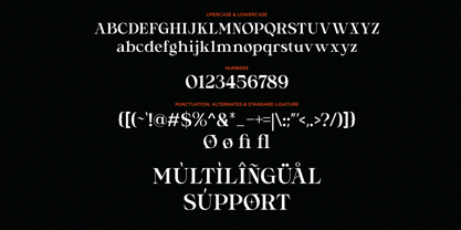 Silvora Font Poster 10