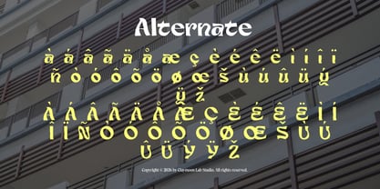 Retro Ripple Font Poster 4