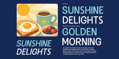 Sunnybite Font Poster 6