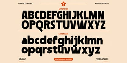 Bravoon Font Poster 8